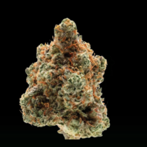 Monkey Glue (Growers Choice Seeds) Cannabis Seeds