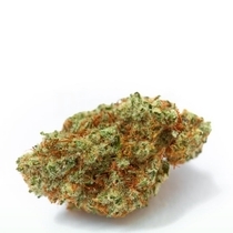 White Fire OG (Growers Choice Seeds) Cannabis Seeds