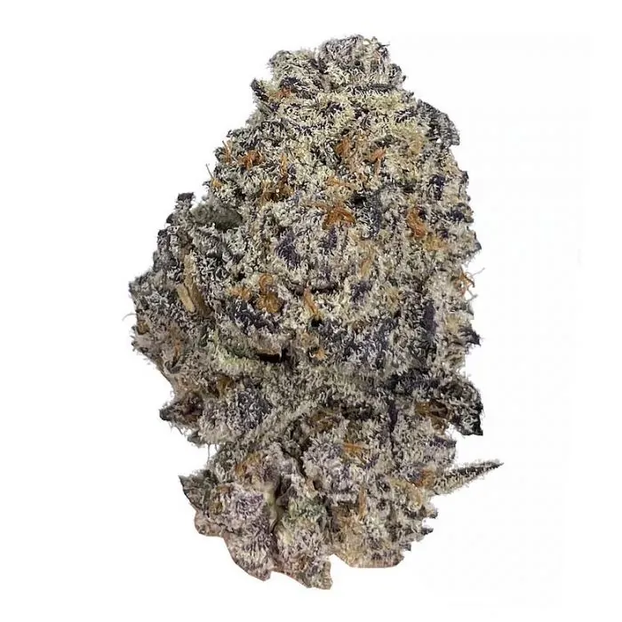 Original Oreoz (Growers Choice Seeds) Cannabis Seeds