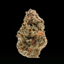 Zkittlez (Growers Choice Seeds) Cannabis Seeds