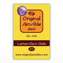 Lemon Oasis Auto (Original Sensible Seeds) Cannabis Seeds