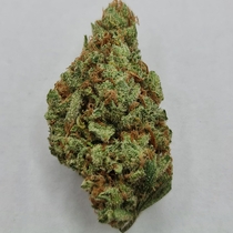Mac Mango (KC Brains Seeds) Cannabis Seeds