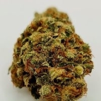 Damage Wedding Cake (KC Brains Seeds) Cannabis Seeds