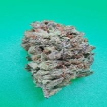 Zkittlez 36 Auto (KC Brains Seeds) Cannabis Seeds