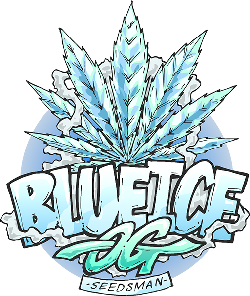 Blue Ice OG (Seedsman Seeds) Cannabis Seeds