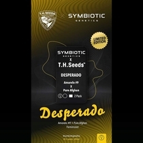 Desperado Feminized (Karma Genetics Seeds) Cannabis Seeds