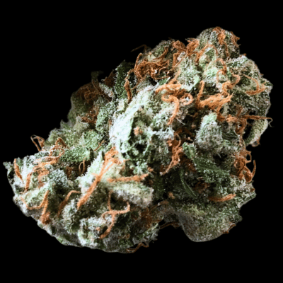 Brain Trauma Auto (Terp Farmz) Cannabis Seeds