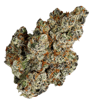 Jelly Babiez (Terp Farmz) Cannabis Seeds