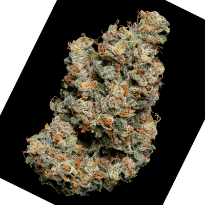 Mint Trufflez (Terp Farmz) Cannabis Seeds