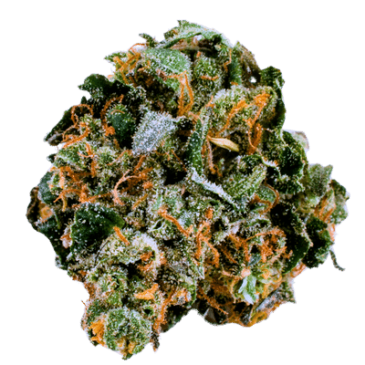 Original Cheerioz (Terp Farmz) Cannabis Seeds