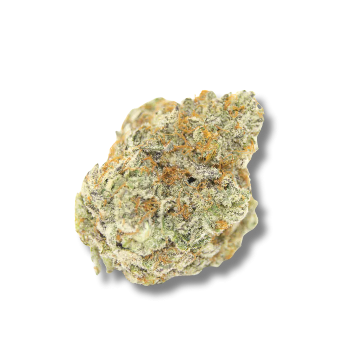 Permanent Whitemarker (Growers Choice Seeds ) Cannabis Seeds