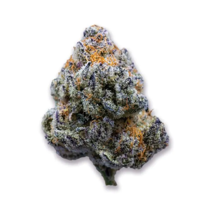 Platinum Mimosa Cookies (Growers Choice Seeds) Cannabis Seeds