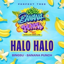 Halo Halo Regular (Perfect tree seeds) Cannabis Seeds