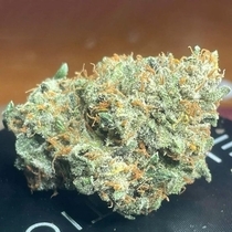 Sirius Blue Autoflowering (Night Owl Seeds) Cannabis Seeds