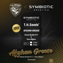 Afghan Grease Feminized (TH Seeds) Cannabis Seeds