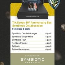 T.H.Seeds x Symbiotic Genetics 30th Anniversary Box (Feminized) (TH Seeds) Cannabis Seeds
