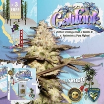 CaliFunk Female (TH Seeds) Cannabis Seeds