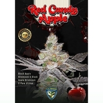 Red Candy Apple Feminized (TH Seeds) Cannabis Seeds