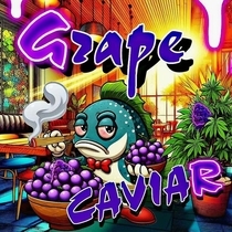 Grape Caviar (Holy Smoke Seeds) Cannabis Seeds