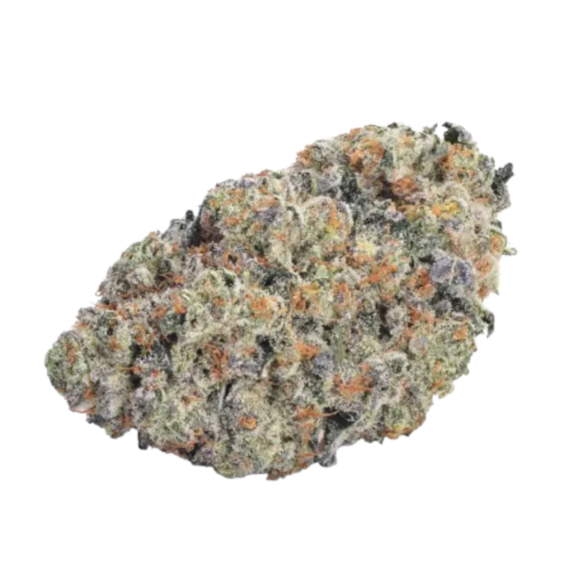 Double Donny Burger (Growers Choice Seeds) Cannabis Seeds