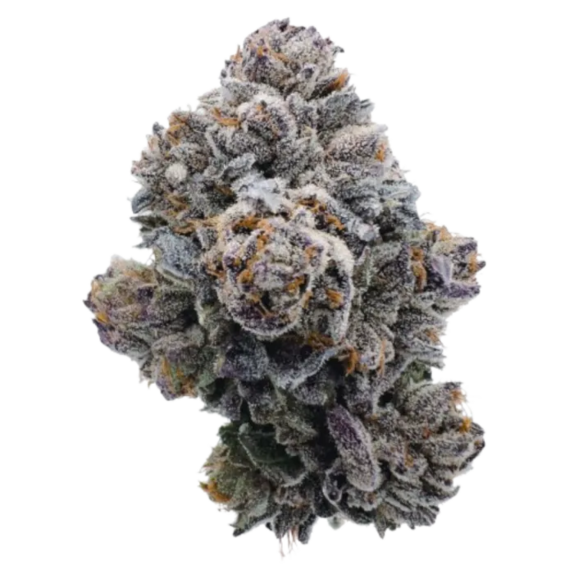 Pink Glitterbomb (Growers Choice Seeds) Cannabis Seeds