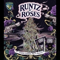 Runtz N Roses (TH Seeds) Cannabis Seeds