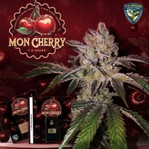 Mon Cherry (TH Seeds) Cannabis Seeds