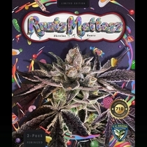 RuntzMattazz (TH Seeds) Cannabis Seeds