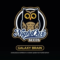 Galaxy Brain Auto (Night Owl Seeds) Cannabis Seeds