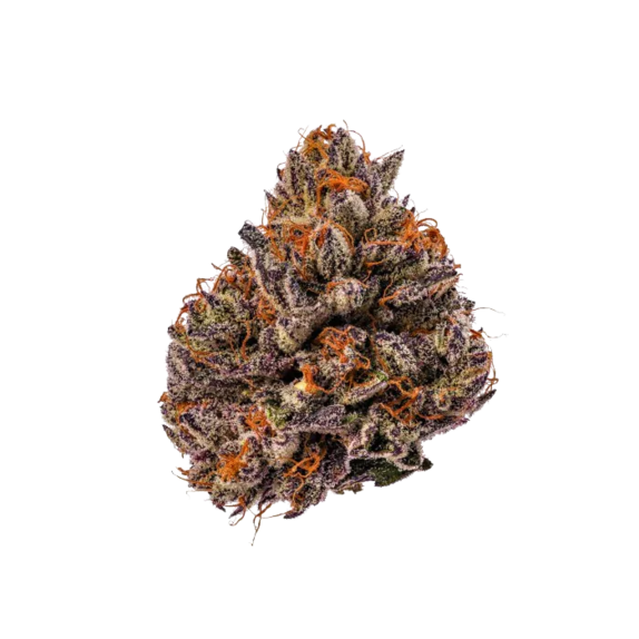 Tropicana Cherry TRIPLOID (Growers Choice Seeds) Cannabis Seeds