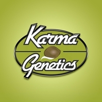 London Loud Regular (Karma Genetics Seeds) Cannabis Seeds