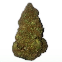Jackpot Auto (Heavyweight Seeds) Cannabis Seeds