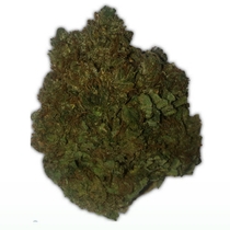 Money Bush (Heavyweight Seeds) Cannabis Seeds