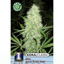 Dutch Power Auto (Kera Seeds) Cannabis Seeds
