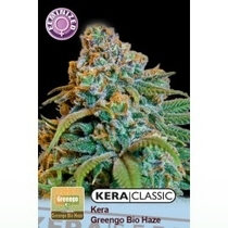 Greengo Bio Haze (Kera Seeds) Cannabis Seeds