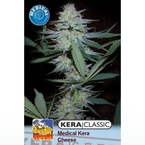 Medical Cheese (Kera Seeds) Cannabis Seeds