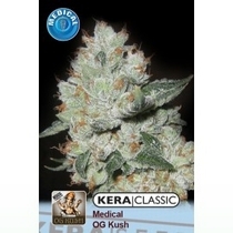 Medical OG Kush (Kera Seeds) Cannabis Seeds