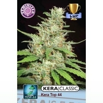 Top 44 (Kera Seeds) Cannabis Seeds