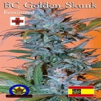 BC Golden Skunk (Next Generation Seeds) Cannabis Seeds