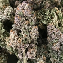 Dark Ghost Train (Rare Dankness Seeds) Cannabis Seeds