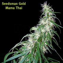Mama Thai (Seedsman Seeds) Cannabis Seeds