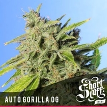 Auto Gorilla OG (Short Stuff Seeds) Cannabis Seeds