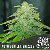 Auto Gorilla Shizzle (Short Stuff Seeds) Cannabis Seeds