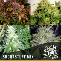 Short Mix (Short Stuff Seeds) Cannabis Seeds