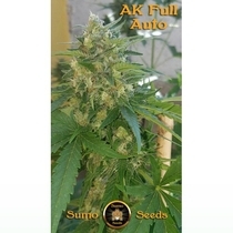 AK Full Auto (Sumo Seeds) Cannabis Seeds