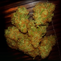 Amnezia (VIP Seeds) Cannabis Seeds