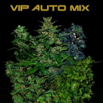 VIP Auto Mix (VIP Seeds) Cannabis Seeds