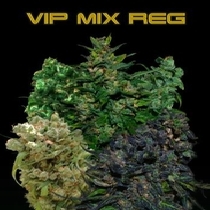 Regular Mix (VIP Seeds) Cannabis Seeds