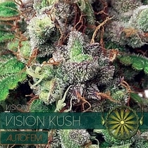 Kush Auto (Vision Seeds) Cannabis Seeds