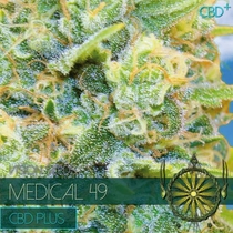Medical 49 CBD+ (Vision Seeds) Cannabis Seeds